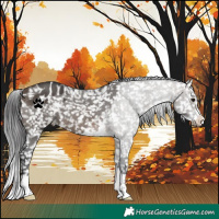 Horse Color:Brown Dun Snowflake Varnish