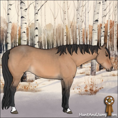 Horse Color:Brown Dun