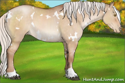Horse Color:White Spotted Silver Brown Pearl Dun Sabino 