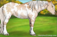 Horse Color:White Spotted Silver Bay Pearl 