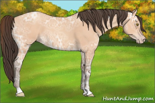 Horse Color:Amber Champagne Ice Roan 