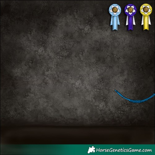 Horse Color:Gray Black 