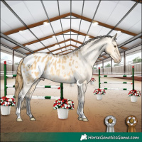 Horse Color:Buckskin Dun Appaloosa Rabicano 