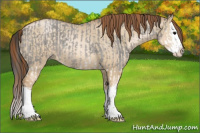 Horse Color:Grullo Roan Splash  and Smoky Grullo Pearl Splash 