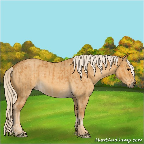 Horse Color:Palomino Roan and Palomino Roan Dun Sabino