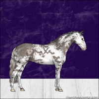 Horse Color:White Spotted Silver Black 