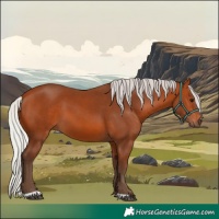 Horse Color:Silver Bay 