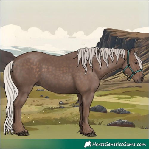 Horse Color:Silver Black