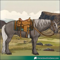 Horse Color:Silver Black 