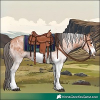 Horse Color:White Spotted Bay Frame 