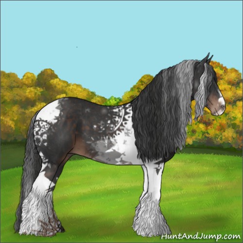 Horse Color:Liver Chestnut Tobiano 