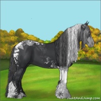 Horse Color:Black Tobiano 