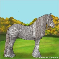 Horse Color:Silver Black Ice Tobiano 