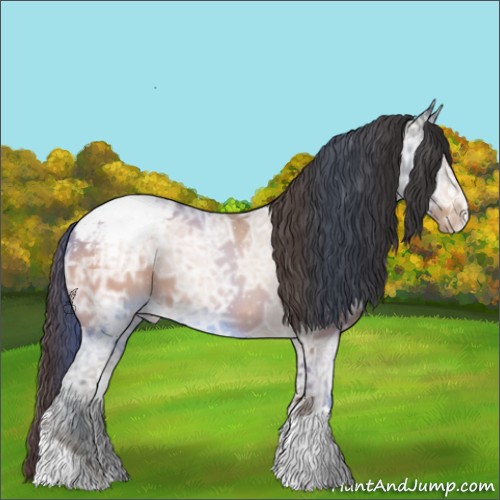Horse Color:Sable Champagne Ice Appaloosa 