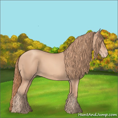 Horse Color:Gold Champagne Varnish 