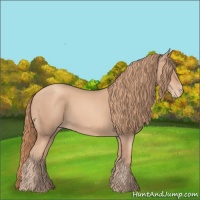 Horse Color:Gold Champagne Varnish