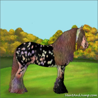 Horse Color:Void Nacre White Spotted Amber Champagne Dun Appaloosa