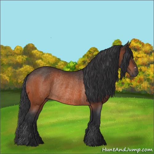 Horse Color:Brown Rabicano