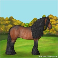 Horse Color:Brown Rabicano 