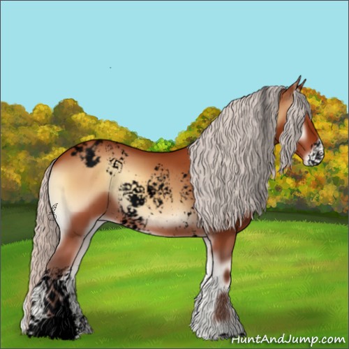 Horse Color:Void White Spotted Silver Bay Onyx Appaloosa 
