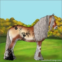 Horse Color:Void White Spotted Silver Bay Onyx Appaloosa 