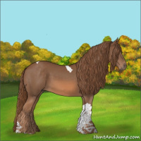 Horse Color:Chestnut Tobiano