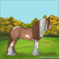 Horse Color:Chestnut Tobiano 