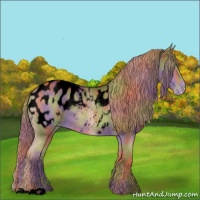 Horse Color:Void Nacre Chestnut Blanket