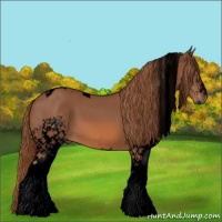 Horse Color:Void White Spotted Chestnut Tobiano 