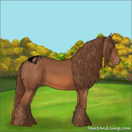 Horse Color:Void Chestnut Appaloosa 