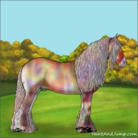 Horse Color:Void Nacre Silver Bay Onyx 