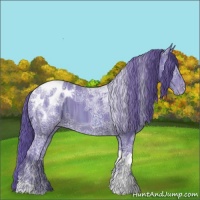 Horse Color:Watercolor Smoky Black Ice Tobiano Appaloosa
