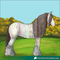 Horse Color:Plaid White Spotted Buckskin Ice Tobiano