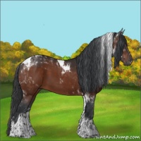 Horse Color:Brown Tobiano