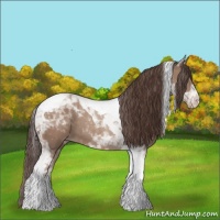 Horse Color:Classic Champagne Tobiano 