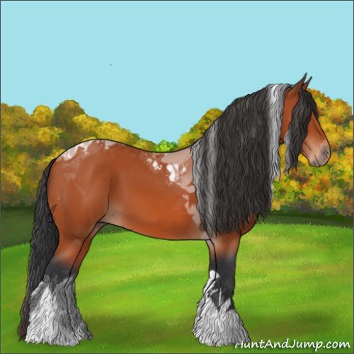 Horse Color:Bay Tobiano
