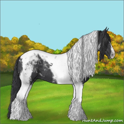 Horse Color:Black Tobiano 