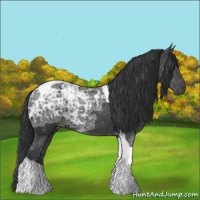 Horse Color:Black Ice Tobiano