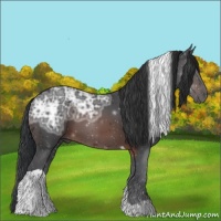 Horse Color:Brown Ice Tobiano