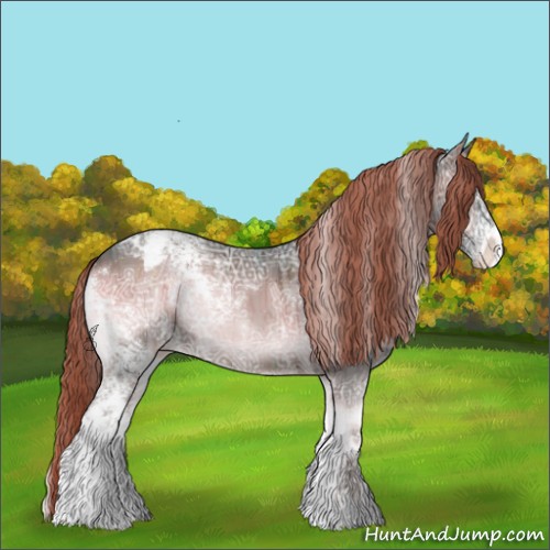 Horse Color:White Spotted Liver Red Onyx Ice Sabino Appaloosa