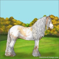Horse Color:Silver Brown Pearl Sabino Tobiano Frame