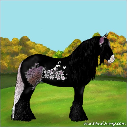 Horse Color:Silver Classic Champagne Ice Onyx Splash Tobiano 