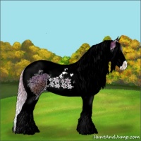 Horse Color:Silver Classic Champagne Ice Onyx Splash Tobiano 