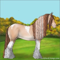 Horse Color:Painted Amber Champagne Tobiano 