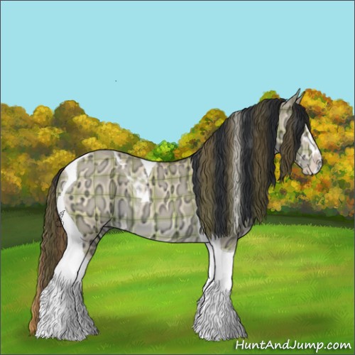 Horse Color:Plaid Bay Ice Dun Sabino Tobiano