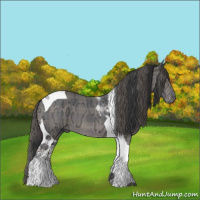 Horse Color:Plaid Black Ice Tobiano