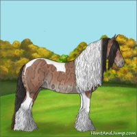 Horse Color:Bay Ice Tobiano 