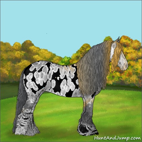 Horse Color:White Spotted Brown Chinchilla Ice Tobiano Appaloosa 