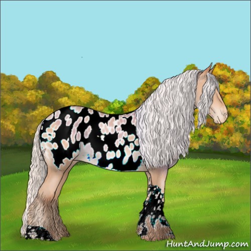 Horse Color:Silver Amber Champagne Sabino Tobiano Appaloosa
