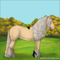 Horse Color:Gold Cream Champagne Tobiano 